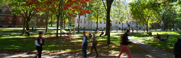 Harvard Yard Harvard Yard