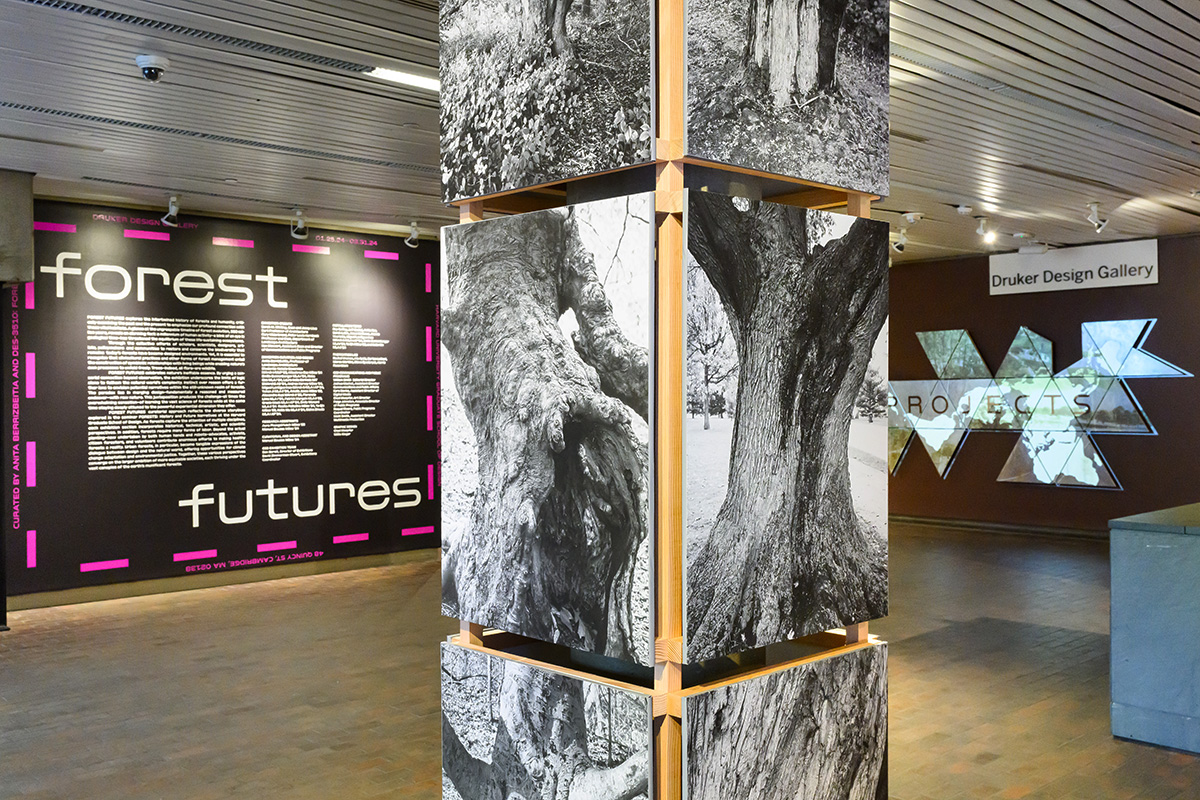 A pole with pictures of trees on it, and a sign in the background that says